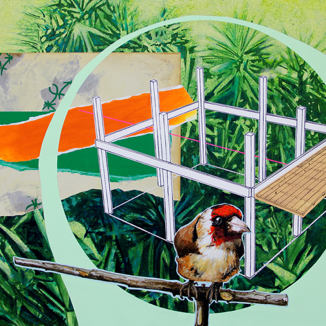 "Aus der Vogelperspektive"